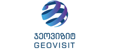 Geovisit Company Logo