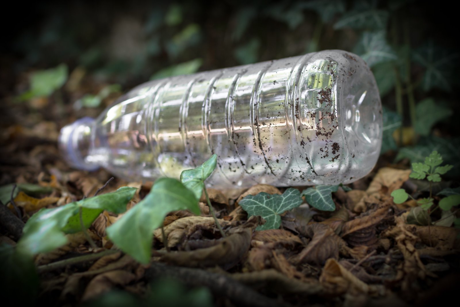 Plastic Bottle 